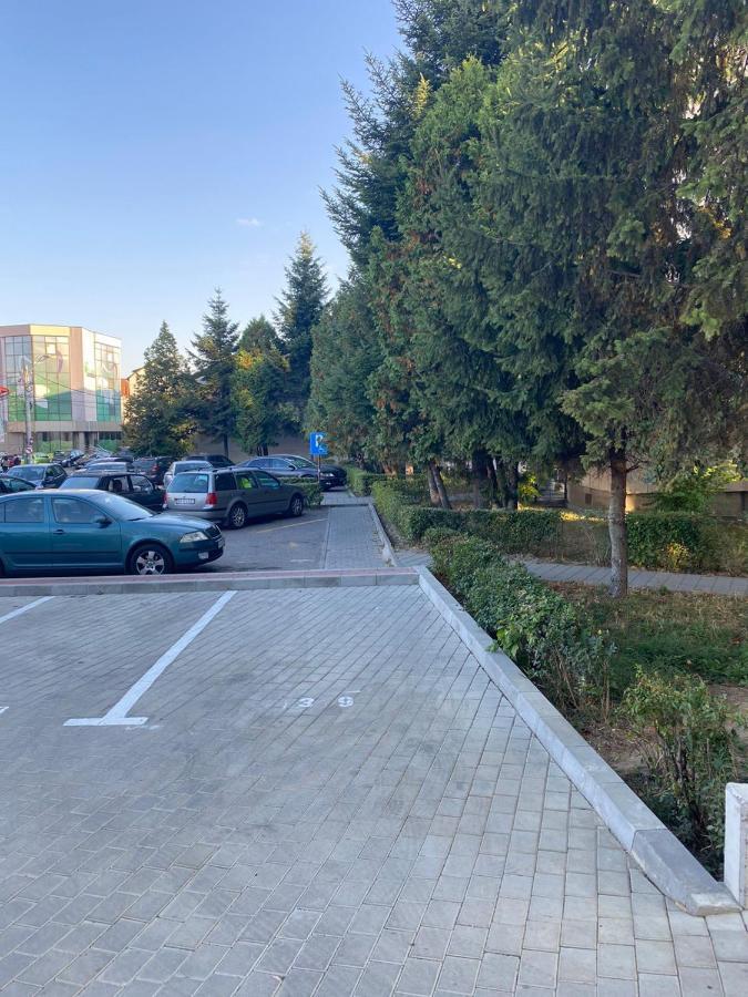 Welcome In Central Pitesti Apartment ภายนอก รูปภาพ